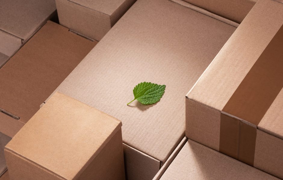 green leaf laying on cardboard box